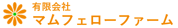 ヘッダーロゴ